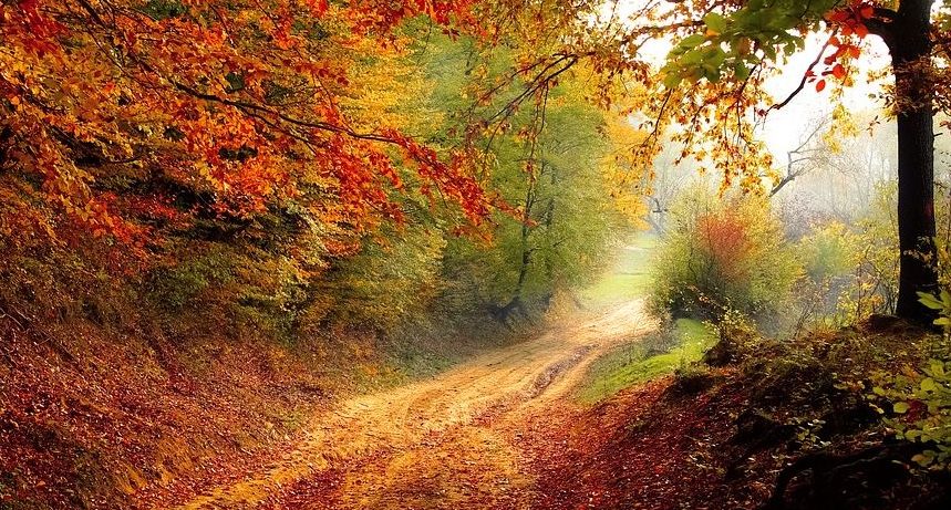 Funeral Homes In Burnsville