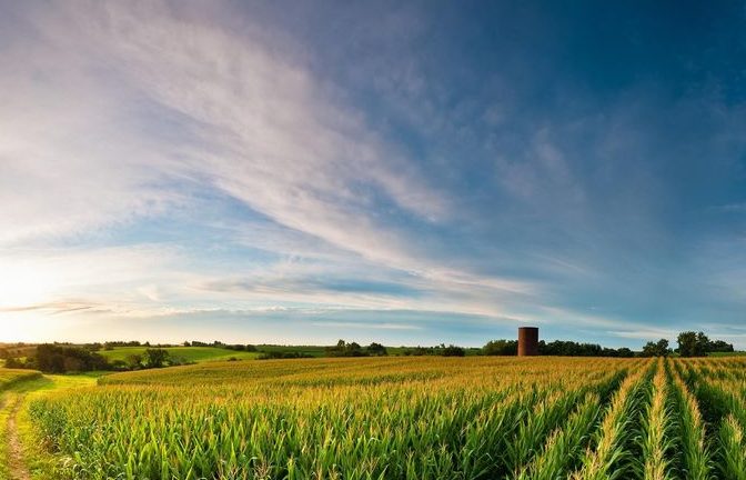 Funeral Homes In St. Cloud